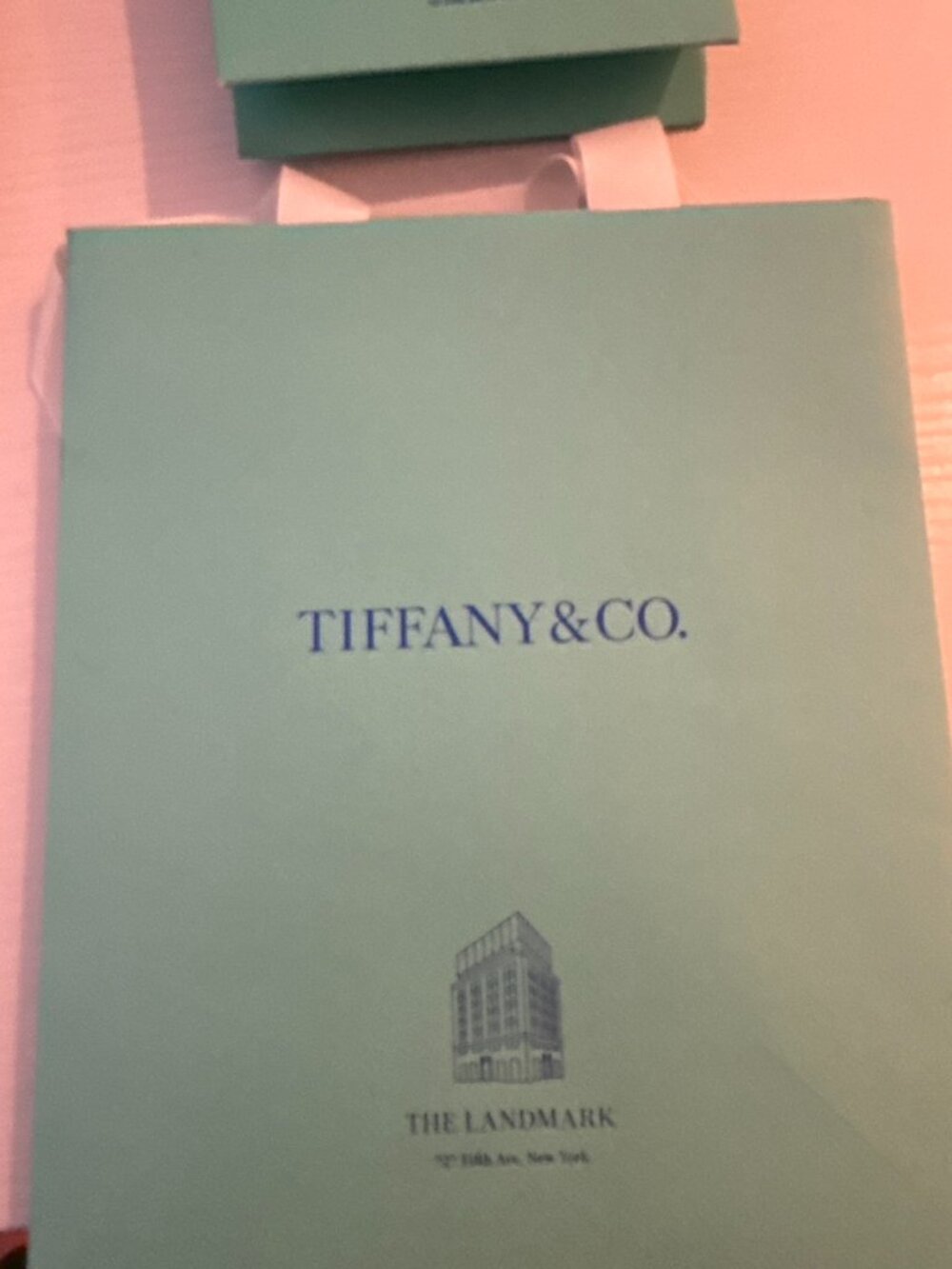 Tiffany & Co Blue Shopping Bag